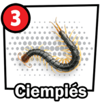 Ciempies