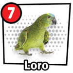 Loro