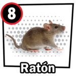 Ratón