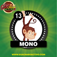 Mono