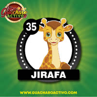 Jirafa