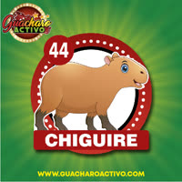 Chiguire