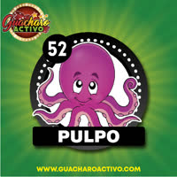 Pulpo