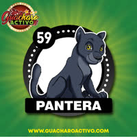Pantera