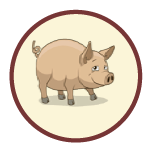 Cochino