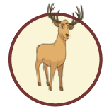 Venado