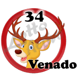 Venado