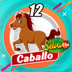Caballo